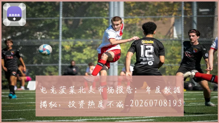电竞菠菜北美市场报告：年度数据揭秘，投资热度不减_20260708193616