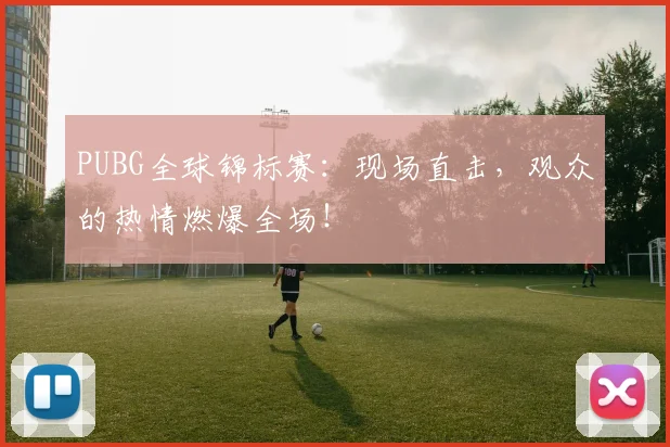 PUBG全球锦标赛:现场直击,观众的热情燃爆全场!