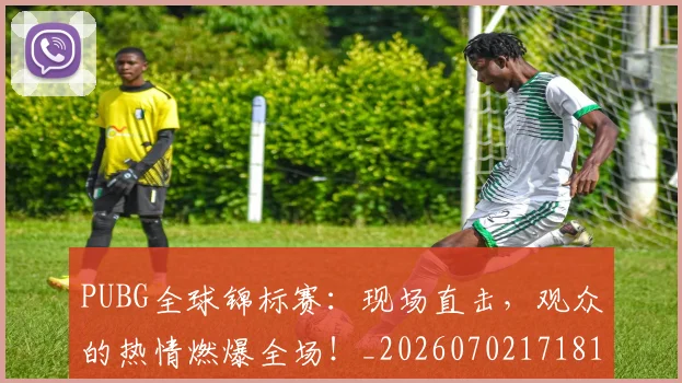 PUBG全球锦标赛:现场直击,观众的热情燃爆全场!_20260702171811